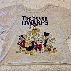 The Seven Dwarfs Women’s Crop Shirt - Gray